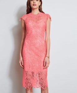 Thesteadfast.shop514ea56e03 3